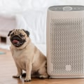 The Best Air Filter for Pet Owners: A Comprehensive Guide