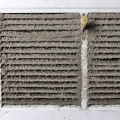 The Dangers of Not Having an Air Filter