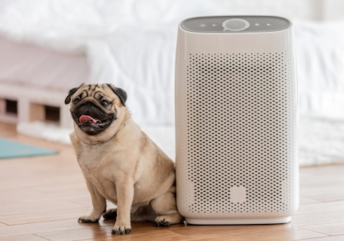 The Best Air Filter for Pet Owners: A Comprehensive Guide
