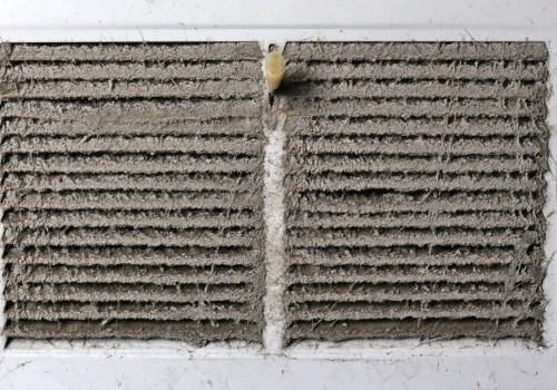 The Dangers of Not Having an Air Filter